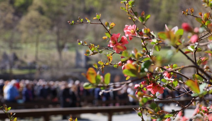 Vasárnapi hírek 2026.03.08