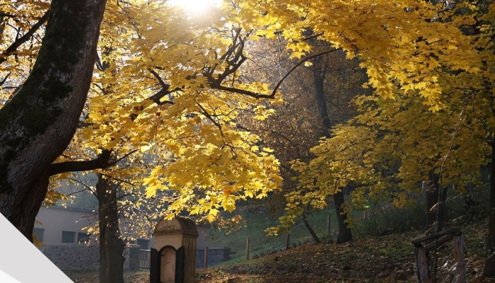 Vasárnapi hírek 2022.11.06