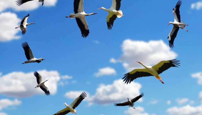 Gyermekre vágyók lelkigyakorlata (2019.febr.22-24.)