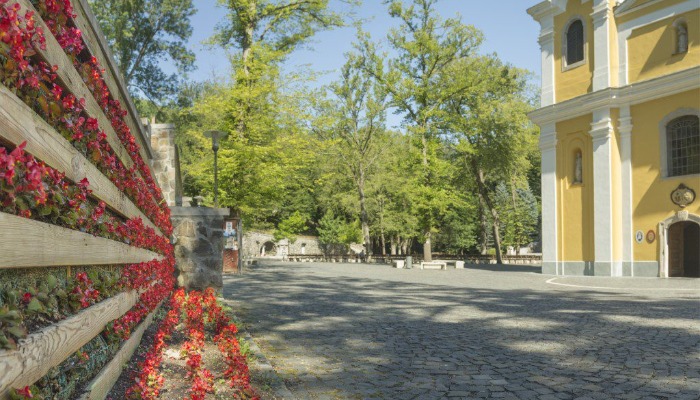 HIRDETÉS    Húsvét VI. vasárnapja, 2025. május 25.