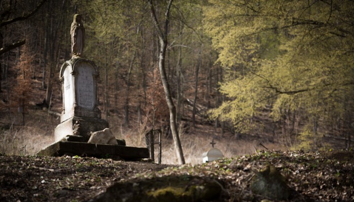 Törvény, hit, szeretete